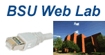 Web lab logo.