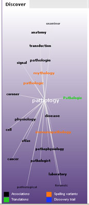 word cloud diagram